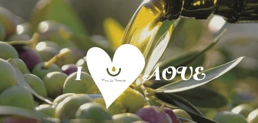 aceite de oliva español es líder mundial