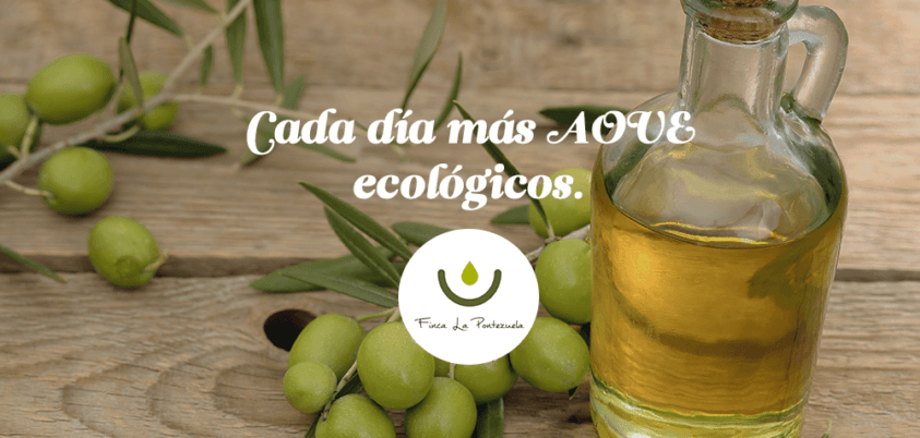 Ventajas del aceite de oliva virgen extra ecológico