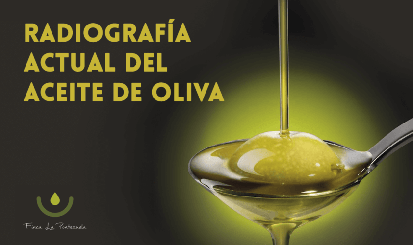 El mercado del aceite de oliva, una radiofiografía actual