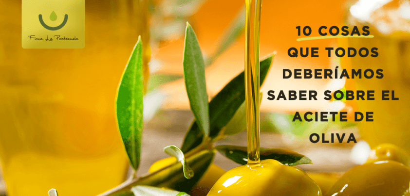 Información sobre el aceite de oliva, 10 cosas que deberíamos de saber