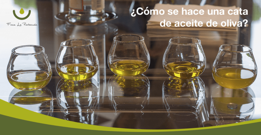 Cata De Aceite De Oliva ¿cómo Se Hace 3175