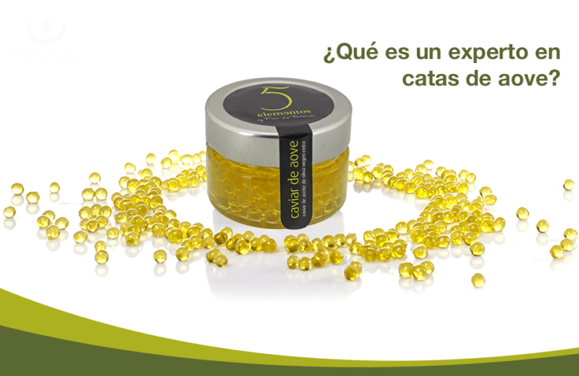 catas de aceite de oliva virgen extra