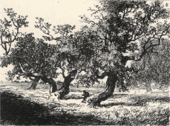 El olivo en el arte Carlos de Haes