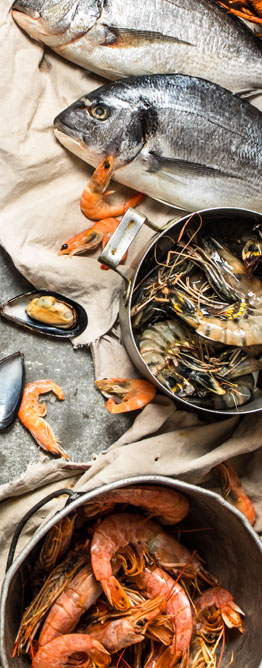 Especial Dieta Mediterránea: AOVE en la mejor dieta del mundo