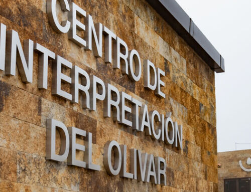 Primer aniversario del Centro de Interpretación del Olivar 5 Elementos
