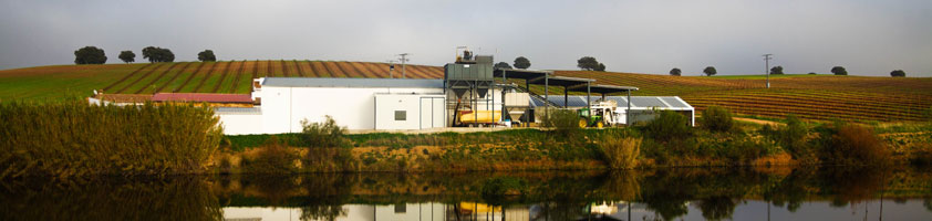 Hoy por Hoy Toledo de la Cadena SER regresa a Finca La Pontezuela