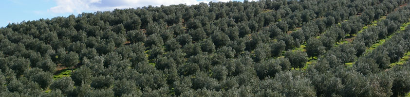 La Carta Europea de Turismo Sostenible: Un compromiso con la naturaleza y el turismo responsable