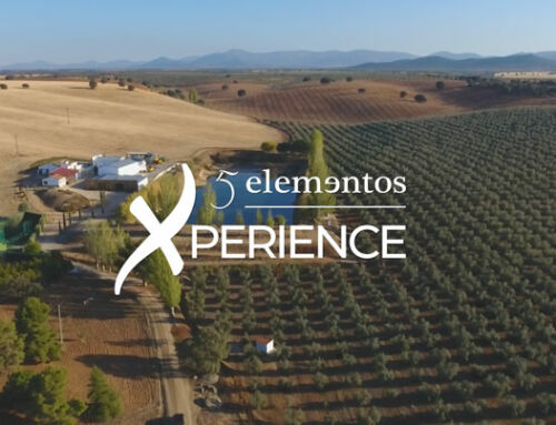 Inauguración de la nueva sala inmersiva 5 Elementos Xperience