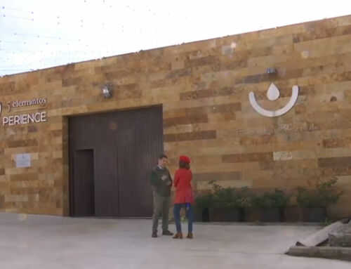 Las nuevas instalaciones 5 Elementos Xperience en la Radiotelevisión de Castilla-La Mancha  