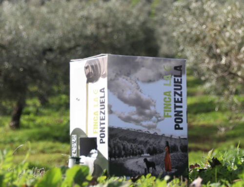 AOVE Bag in Box: La revolución en el almacenamiento del Aceite de Oliva Virgen Extra
