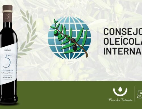 Finca La Pontezuela gana el Premio Mario Solinas 2025 del Consejo Oleícola Internacional
