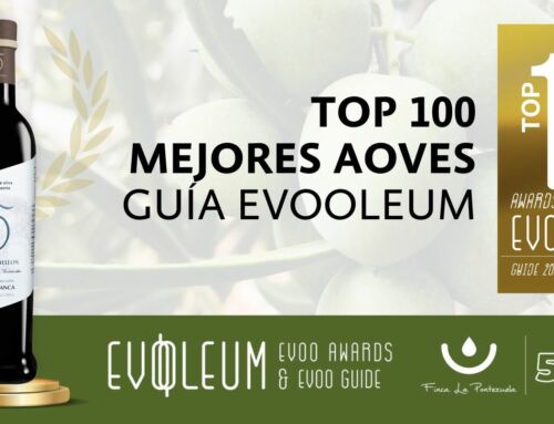 Finca La Pontezuela nuevamente en el TOP 100 de la Guía EVOOLEUM con su AOVE 5 Elementos Gran Selección Hojiblanca