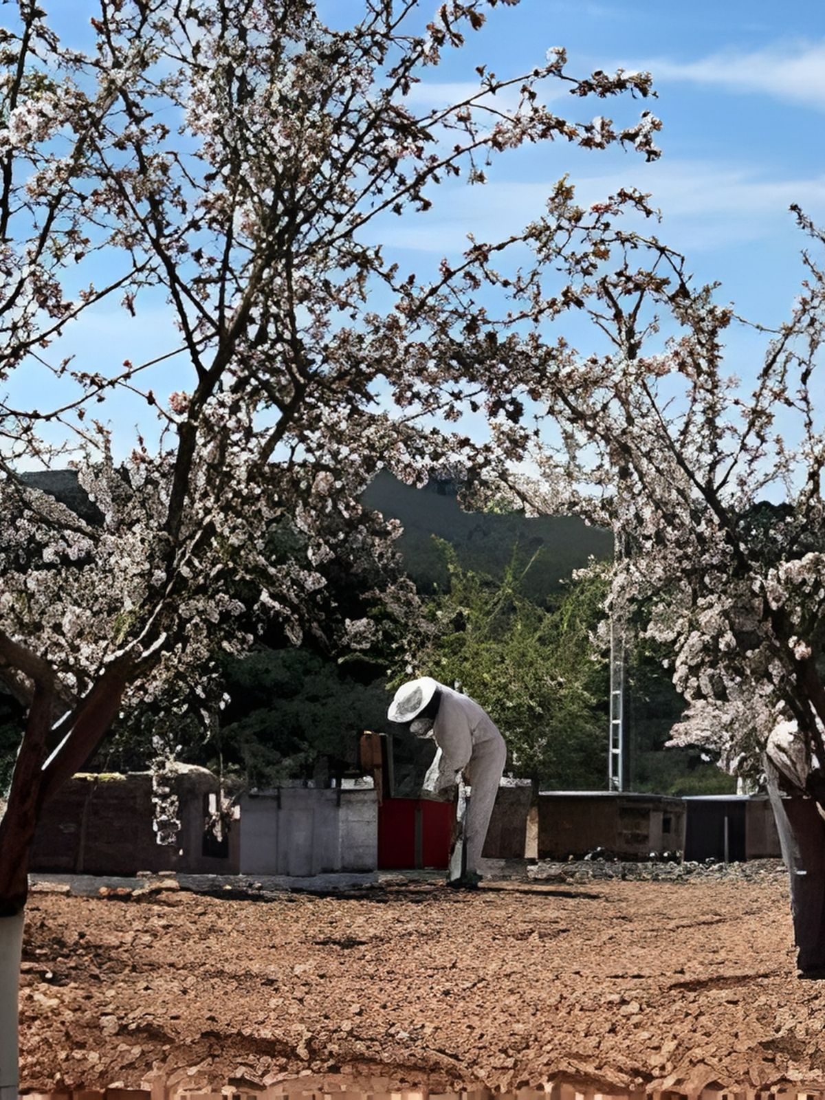Apicultura en Finca La Pontezuela