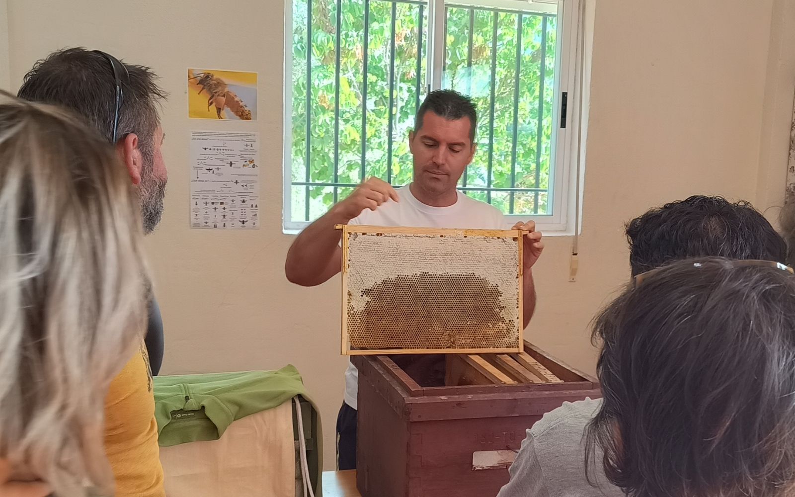 Colmena de exhibición viva en Finca La Pontezuela