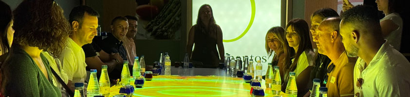 Oleoturismo en Toledo: Experiencias únicas en Finca La Pontezuela