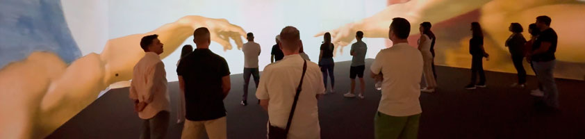 Oleoturismo en Toledo: Experiencias únicas en Finca La Pontezuela