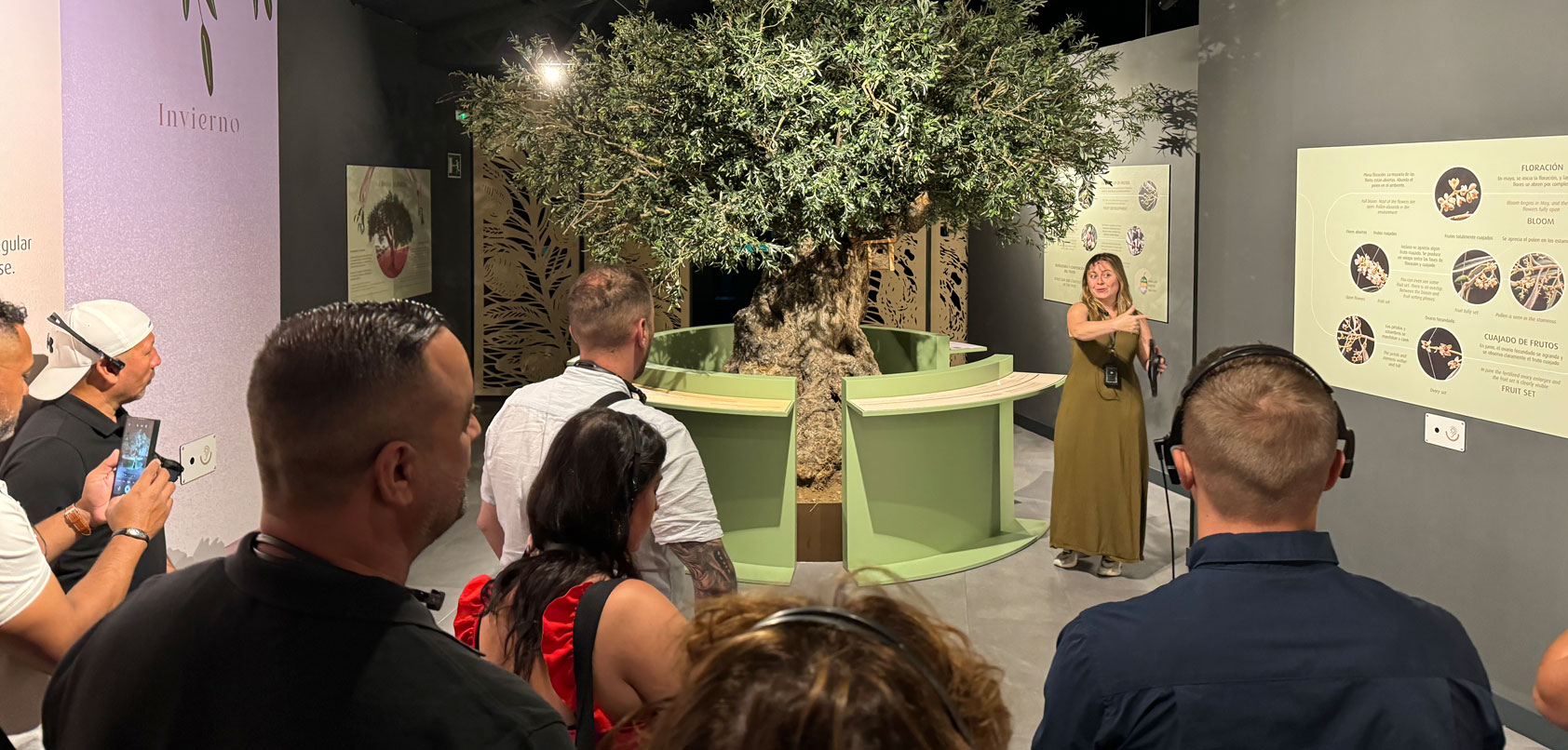 Oleoturismo en Toledo: Experiencias únicas en Finca La Pontezuela